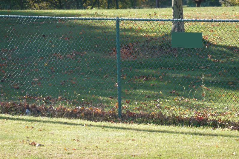 Chain Link Fence Removal
