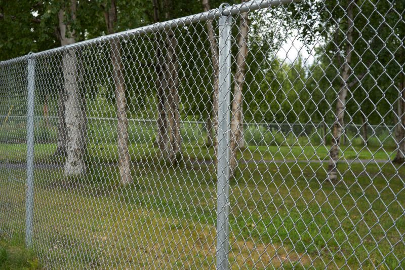 Chain Link Fence Removal