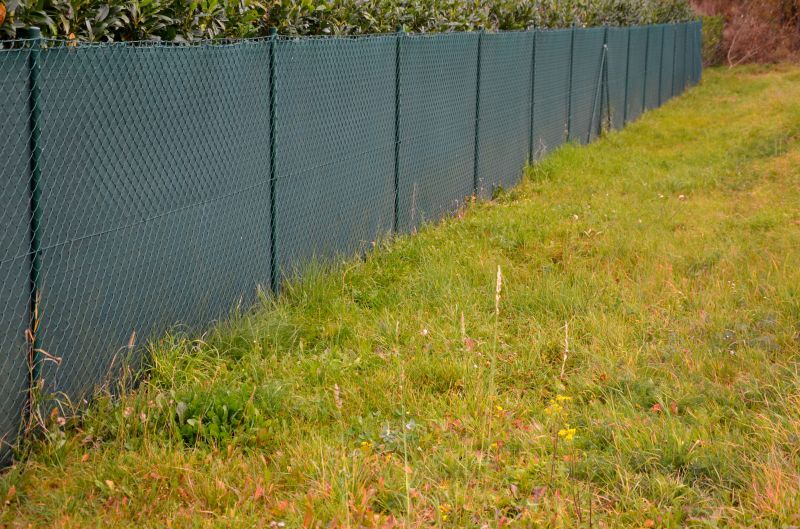 Specialty Fence Removal Services